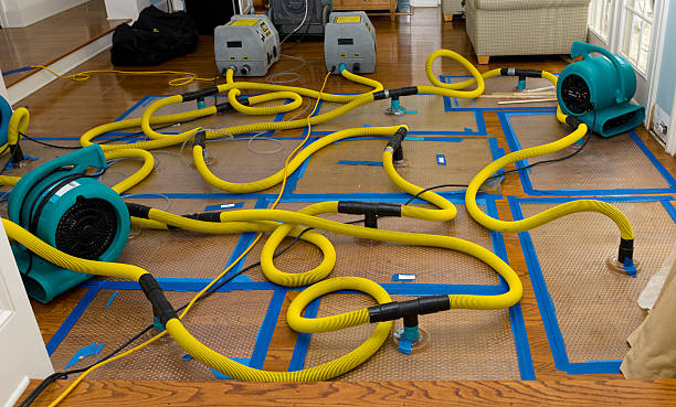 Professional Structural Drying And Dehumidification technician working in Burlington, KS